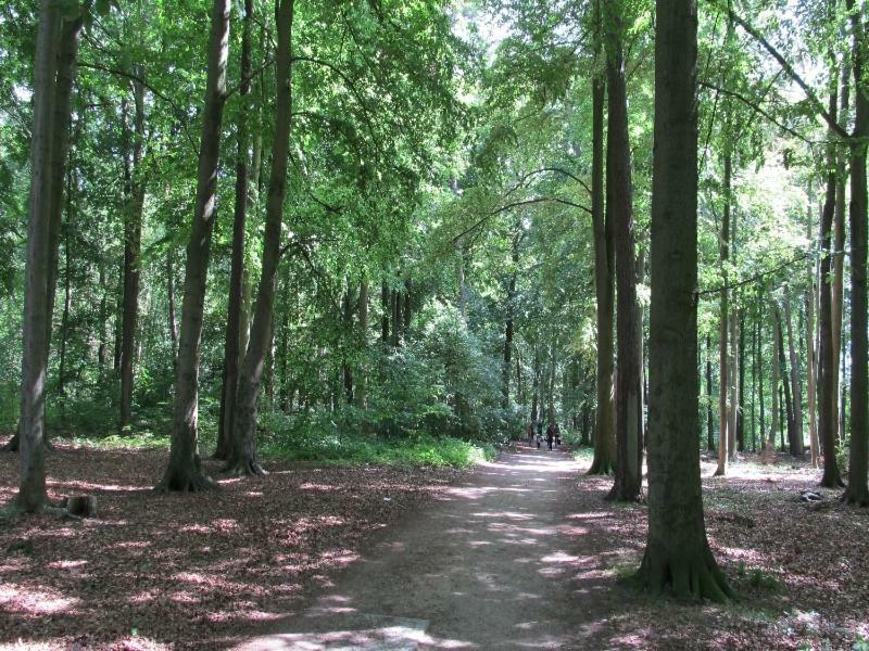 “Haus Am Kuestenwald” Ferienwohnungen Graal-Mueritz Eksteriør bilde